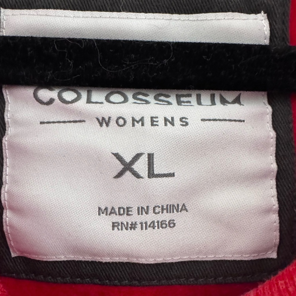 Wisconsin Badger Women’s XL V-Neck hoodie - Picture 4 of 9
